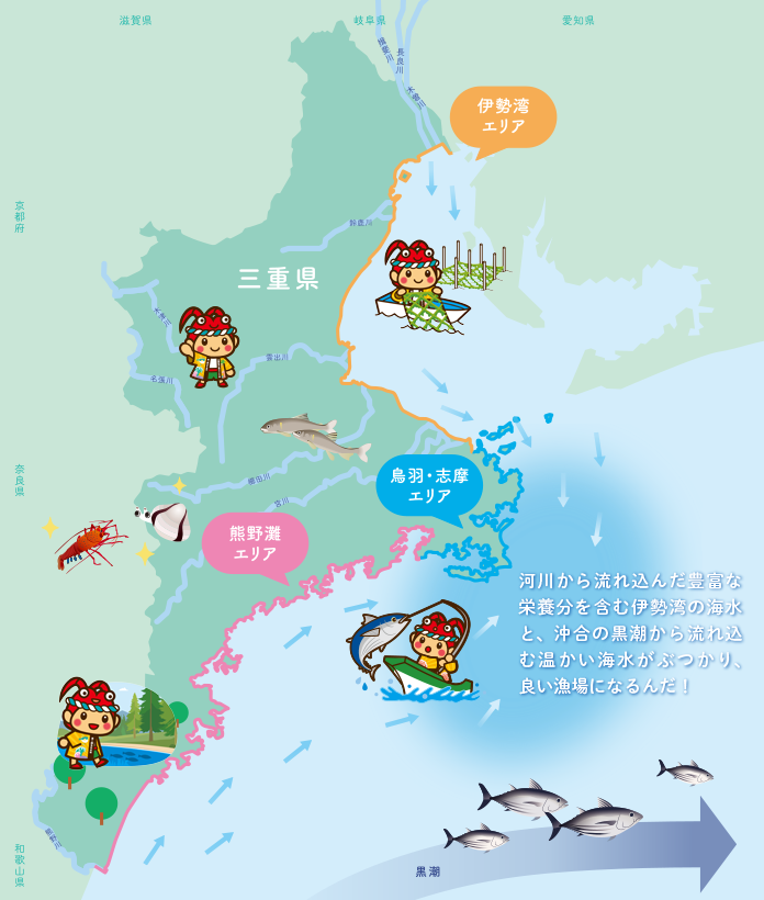 河川から流れ込んだ豊富な栄養分を含む伊勢湾の海水と、沖合の黒潮から流れ込む温かい海水がぶつかり、良い漁場になるんだ！